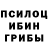 Галлюциногенные грибы мицелий Vince Young