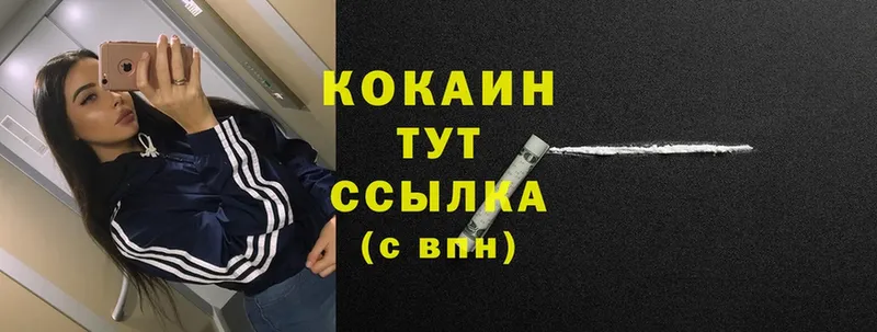 мега tor  Каневская  Cocaine Fish Scale 