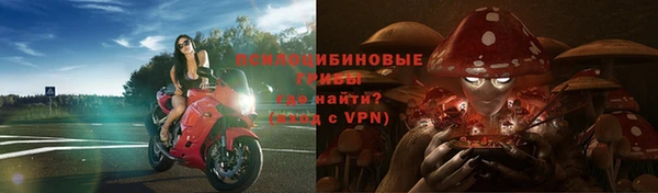 сатива Нефтегорск