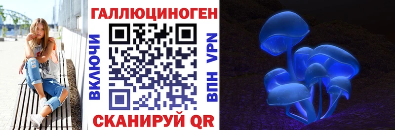 где купить   Каневская  Галлюциногенные грибы MAGIC MUSHROOMS 